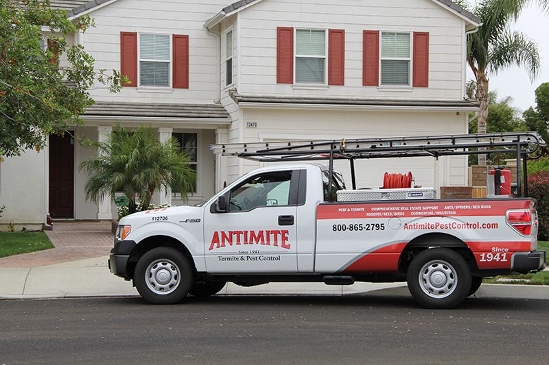 AntimiteTruck