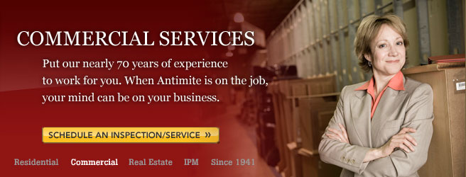 Commercial Services