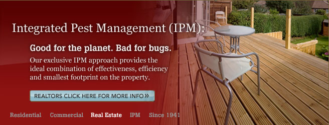 slide_ipm